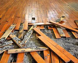 Dania Restoration Expert Dania, FL 754-206-0820 - abt-flood-wgr-2