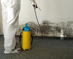Dania Restoration Expert Dania, FL 754-206-0820 - abt-mold-wgr-2