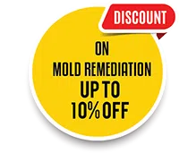 Dania Restoration Expert, Dania, FL 754-206-0820 - discount-wgr-2
