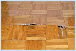 Dania Restoration Expert Dania, FL 754-206-0820 - sid-flood-wgr-2