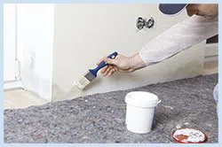 Dania Restoration Expert Dania, FL 754-206-0820 - sid-mold-wgr-2